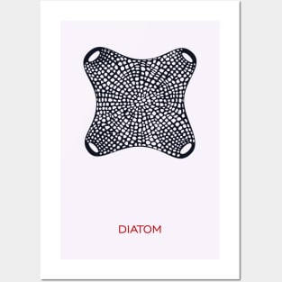 Diatom Posters and Art